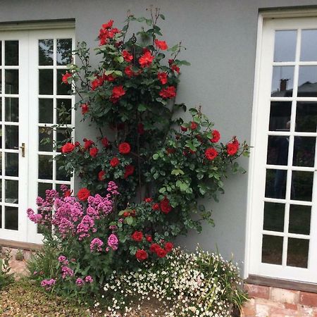 Hollyoak Bed & Breakfast Trentham Exterior photo
